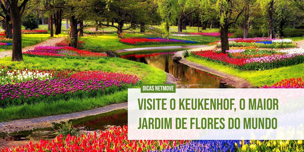 Visite o Keukenhof, o maior jardim de flores do mundo - Netmove