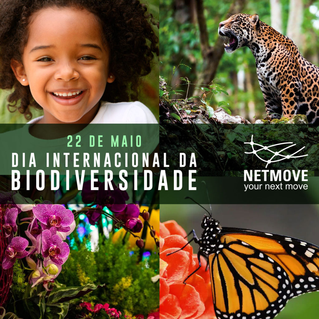 O Que Podera Acontecer Com A Biodiversidade No Futuro